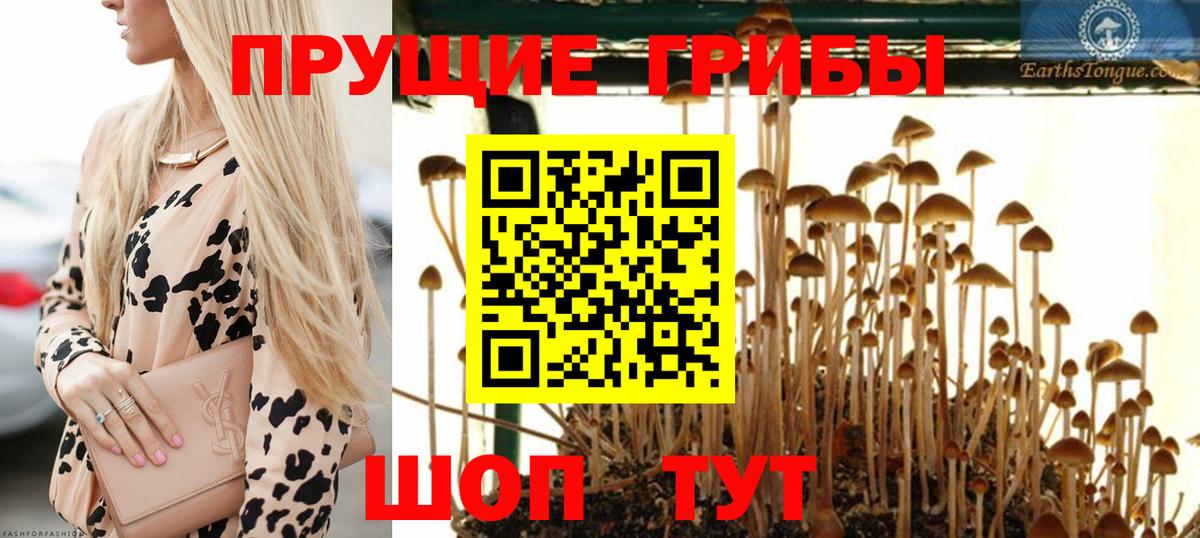 Галлюциногенные грибы ЛСД Янаул