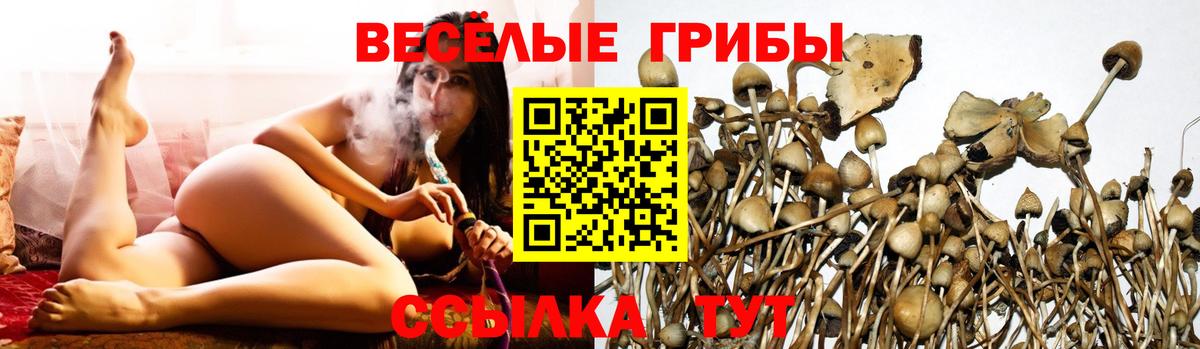 Псилоцибиновые грибы MAGIC MUSHROOMS  Псилоцибиновые грибы Psilocybine cubensis  Вход с VPN  Янаул 